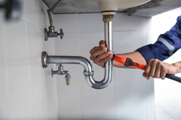 Best Commercial Plumbing Services  in Virginia, MN